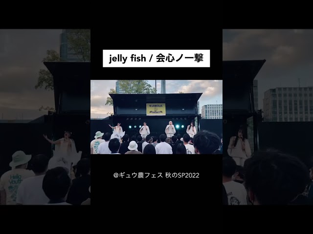 jelly fish / 会心ノ一撃 (@ ギュウ農フェス 秋のSP2022)