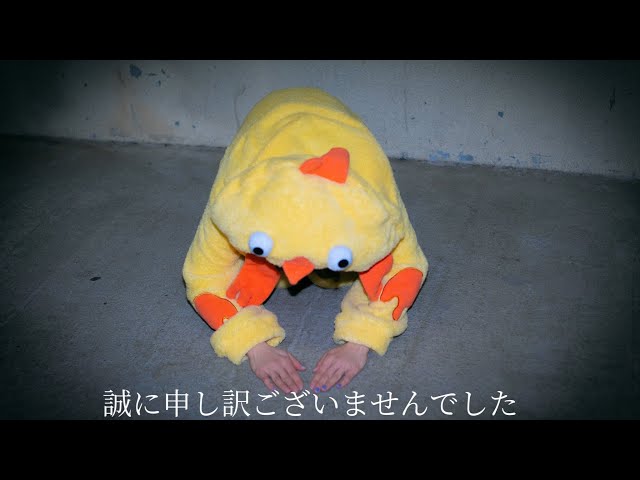 たまたま持ってたのが鳥のパジャマなことある？