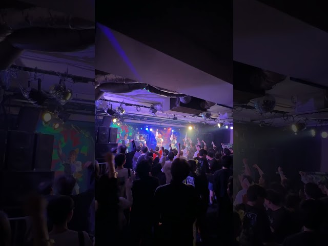 Bordeaux / Malcolm Mask McLaren #マルコムライブカメラ