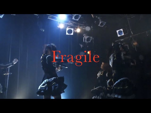 Lion net girl / Fragile