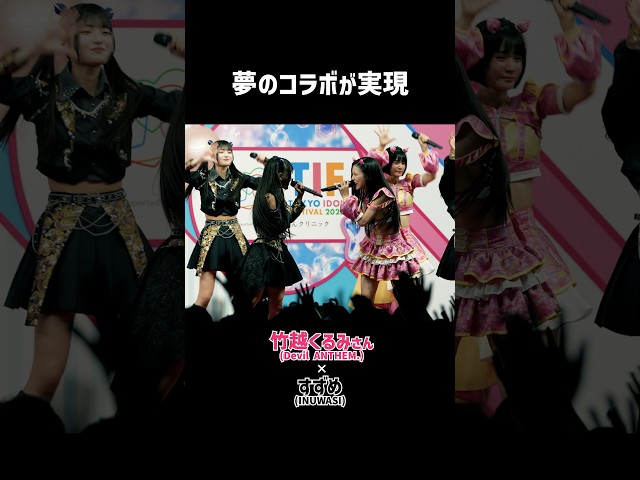 【夢のコラボ】竹越くるみさんDevil ANTHEM.×すずめINUWASI #INUWASI #アイドル #デビアン #tif2026
