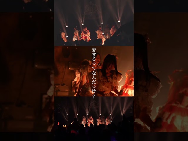 MyDearDarlin’「Twilight」