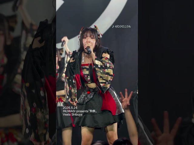 久しぶりに披露した【ゼロクロニクル】 #INUWASI #idol #アイドル #ライブ映像