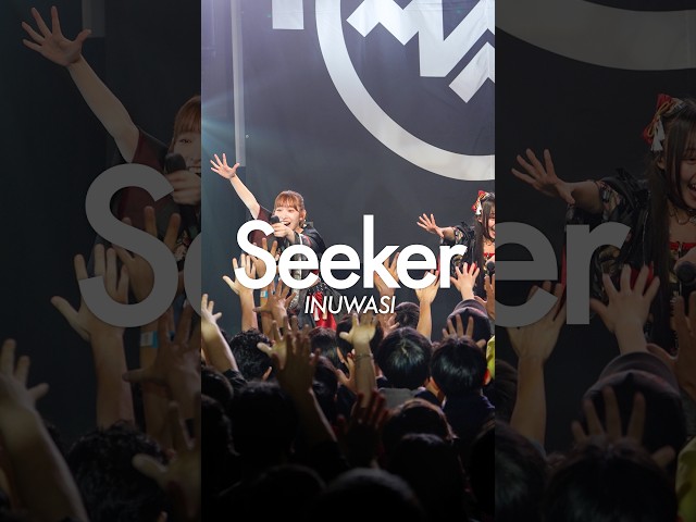 【Seeker】 #INUWASI #idol #アイドル