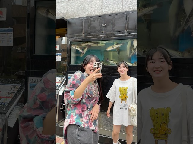 目黒鹿鳴館のちかくのふぐ