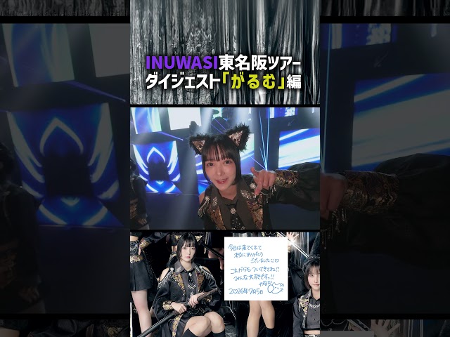 INUなのに猫 #INUWASI #idol #アイドル #shorts
