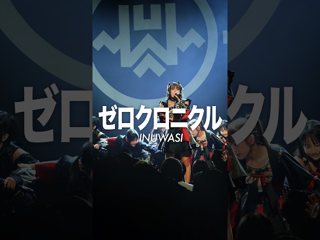 【INUWASI】ゼロクロニクル #INUWASI #idol #アイドル