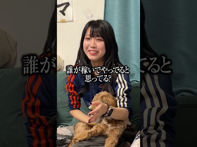ブラック企業所属アイドルの給料 VS 犬の養育費 #bluegoats #アオヤギチャンネル