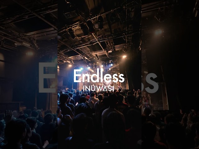 Endless🥷 #INUWASI #idol #アイドル #ライブ映像 #shorts