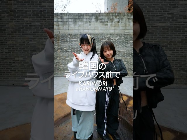 【韓国でRealize】 #INUWASI #idol #アイドル