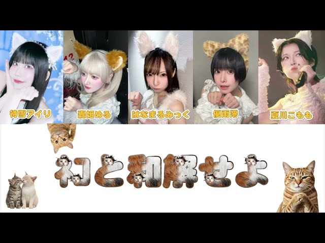 【歌詞割り・パート分け】ﾈｺと和解せよ/会心ノ一撃