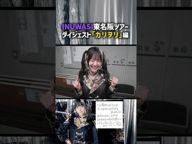 INUWASIの未来を照らせる日にしたい #INUWASI #idol #アイドル #shorts