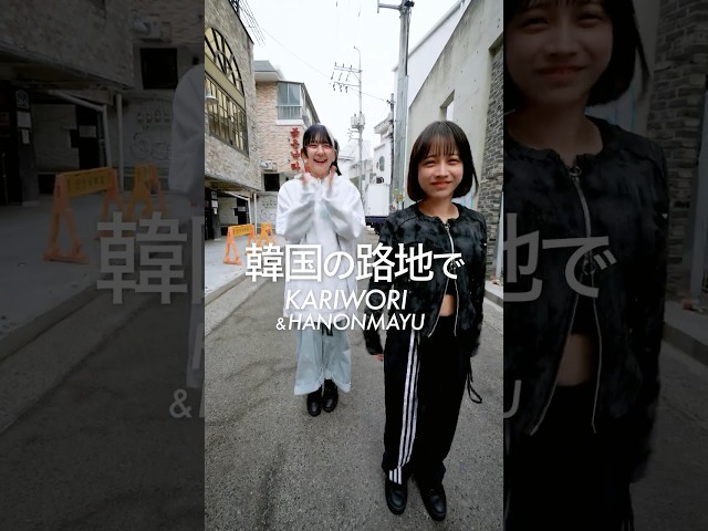 韓国の路地で #INUWASI #idol #アイドル