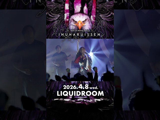 【狗春一閃】 BAND SET RELEASE PARTY #INUWASI #idol #アイドル ￼#ライブ映像 #shorts