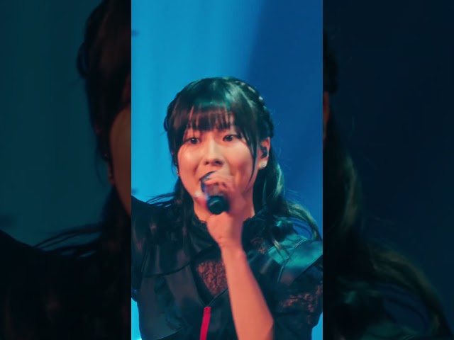パルス / Ringwanderung Live at KT Zepp Yokohama (2025.09.06) #Ringwanderung #Live #IDOL #アイドル #ライブ