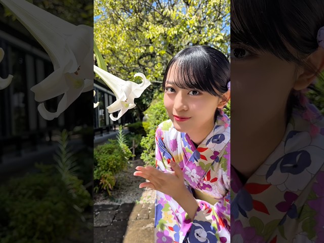 【儚夏】【Devil ANTHEM.】#橋本侑芽 ver🌻